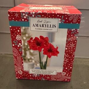 Red Lion Amaryllis Flower Grow Kit